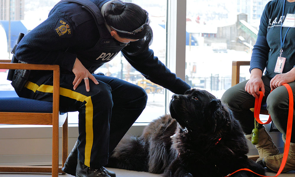 An RCMP officer petting a therapy dog