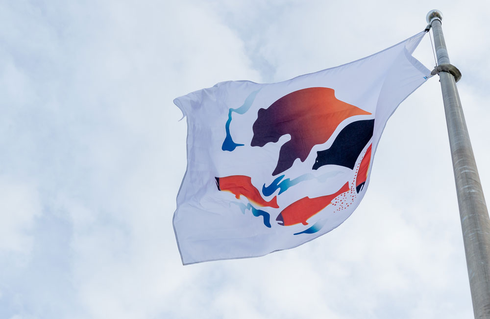 A close up of the ONA Flag