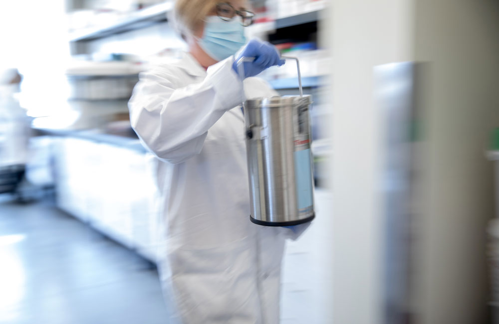 Doctoral student Natasha Haskey transports samples in a liquid nitrogen container
