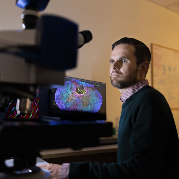 Dr. Chris West looking at a computer screen with an image of a cross-section of the spinal cord.