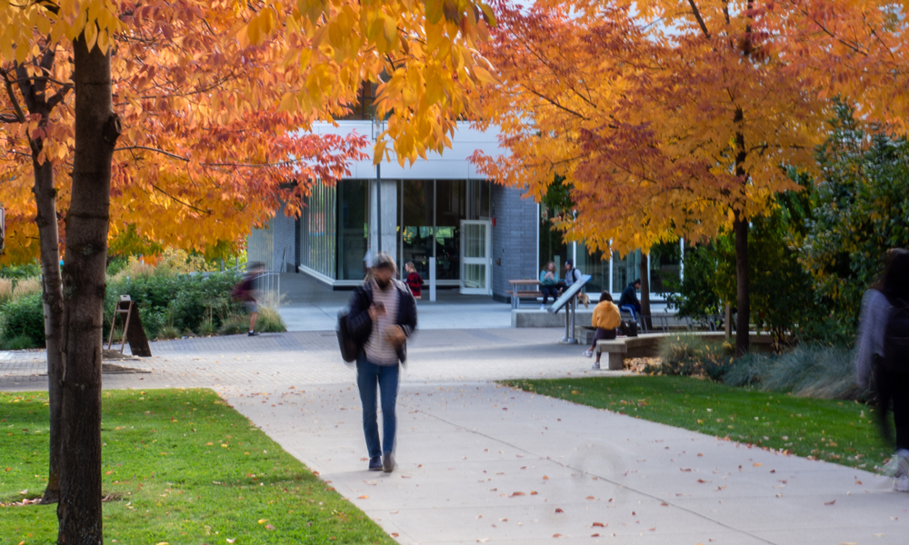 A student walking down a path with autumn trees.